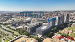 焦发泡材料这一范畴